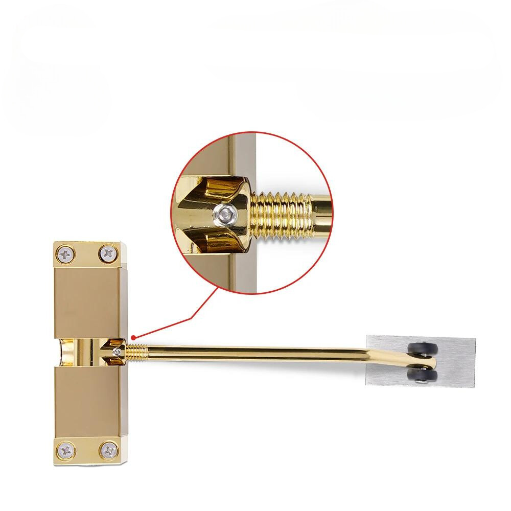 Roestvrijstalen Deurscharnieren | Verstelbaar & Luxe Afwerking in Zwart, Zilver of Goud