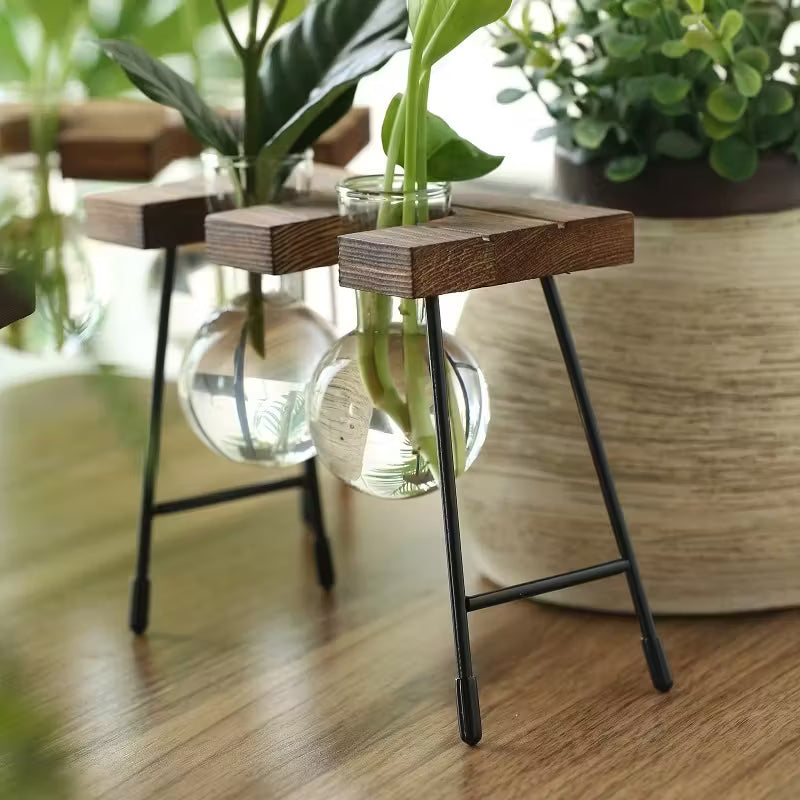 Transparante Glazen Vaas Set | Houten Standaard | Hydroponic Vaas