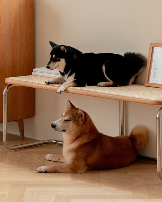 Serenity Rattan Bank | Minimalistische Kersenhouten Zitbank met Rotan en Roestvrijstaal