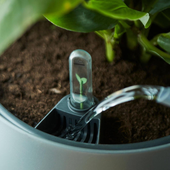 Self Watering Insert | Slimme Inzet met Waterreservoir | Voor Binnen & Buiten