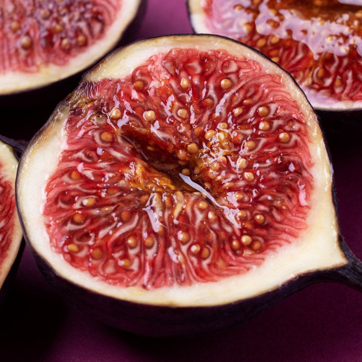 Biologische Vijgenboomplanten | Set van 3 of 6 Ficus carica | 20-25 cm hoog